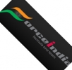 Force India Force India